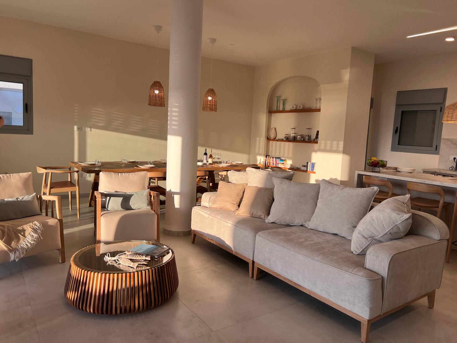 Living room and terrace